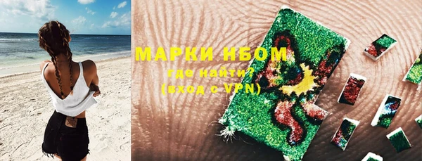 PSILOCYBIN Алзамай