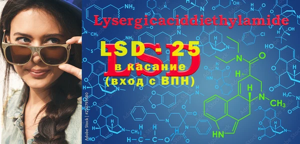 PSILOCYBIN Алзамай