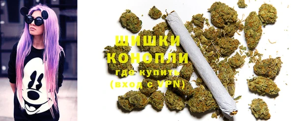 PSILOCYBIN Алзамай