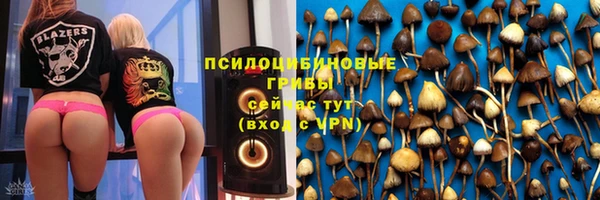 прущие грибы Алексеевка